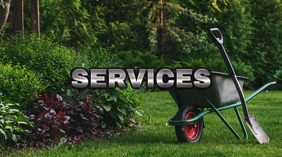 Superior Curb Appeal | Custom Landscape Curbing